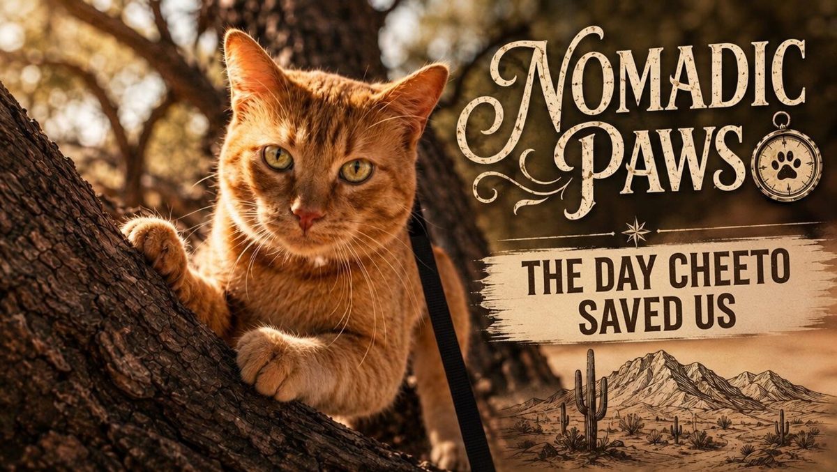 Nomadic Paws Trail Journal cover featuring Cheeto perched in a mesquite tree in the Arizona desert with vintage adventure-style artwork introducing "The Day Cheeto Saved Us."