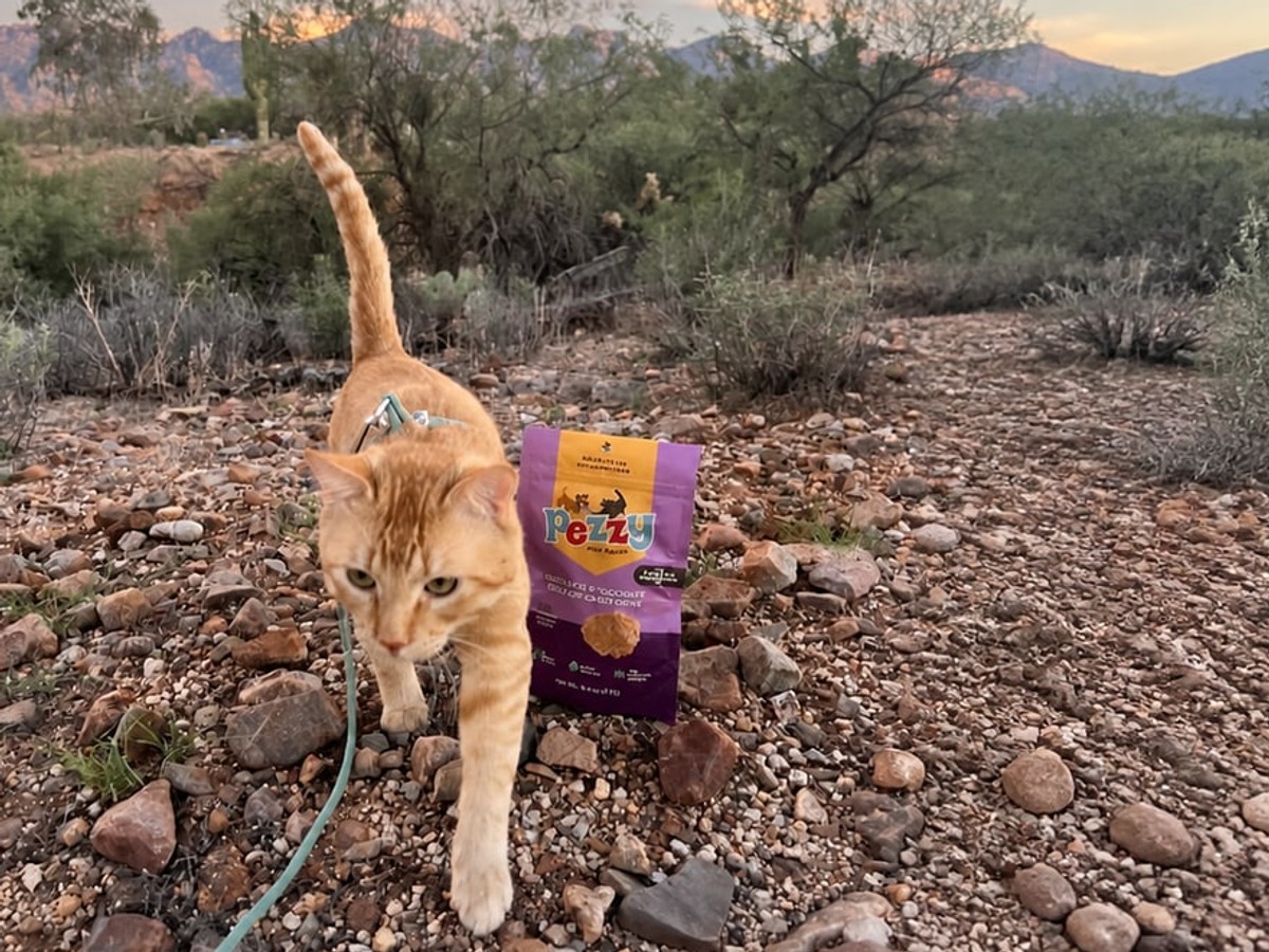 Cheeto walking beside a Pezzy Silver Carp Chips bag on a desert trail