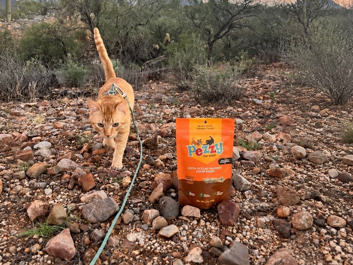 Cheeto walking beside a Pezzy Lionfish Sticks bag on a desert trail